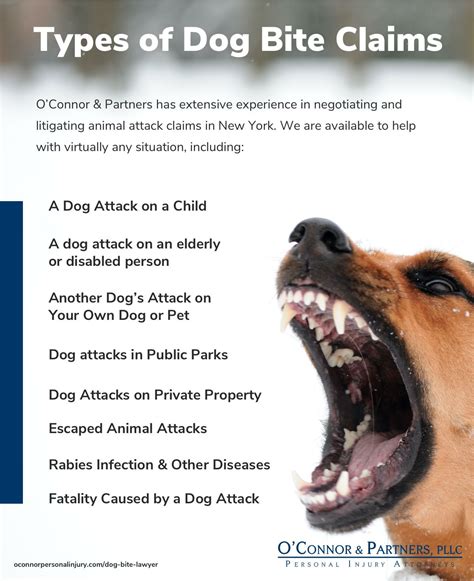 The lawyers guide to dangerous dog issues. - Lecciones biblicas (guia practica para el estudio de la biblia).