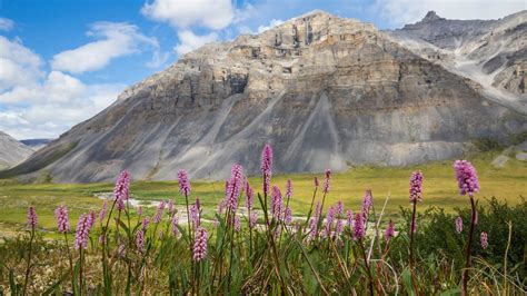 The least-visited US national parks in 2024 CNN