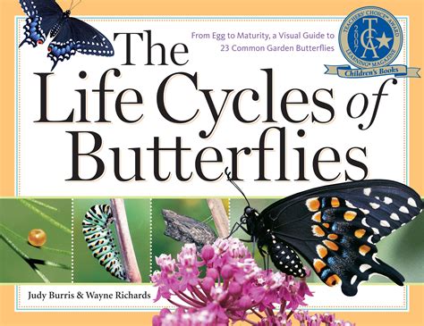 The life cycles of butterflies from egg to maturity a visual guide to 23 common garden butterflies. - Tattoo mystique the art and world of angelique houtkamp.