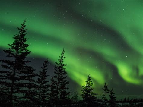 The live cam that shows you the emerald Northern Lights is back