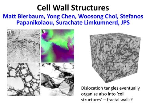 The long‐range internal stress field in the dislocation wall ...