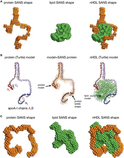 The low resolution structures nHDL reconstituted with DMPC and with