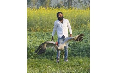 The man and the sarus crane who walks - and flies - in his footsteps