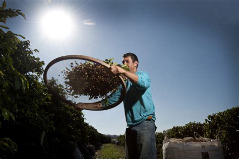 The man putting coffee into fuel Shell Global