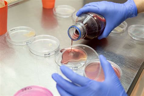 The master of experimental