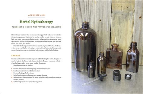 The modern herbal dispensatory a medicine making guide. - Armando tejada gomez - profeta del viento.