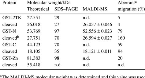 The molecular weight determination of CTCF …