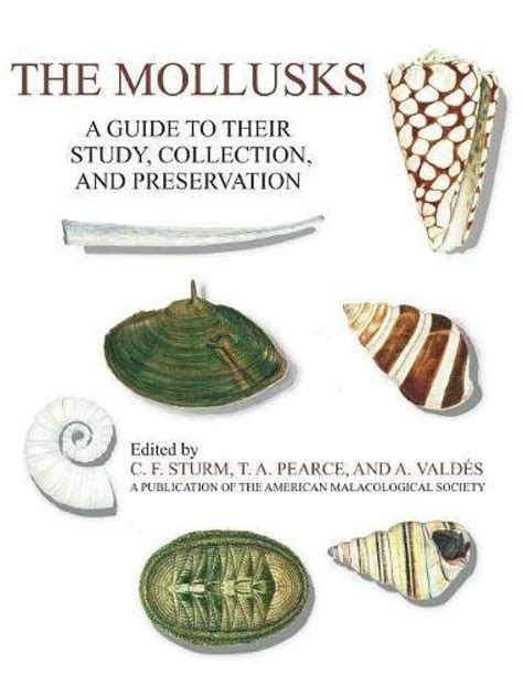 The mollusks a guide to their study collection and preservation. - Toyota 2az fe engine shop manual.