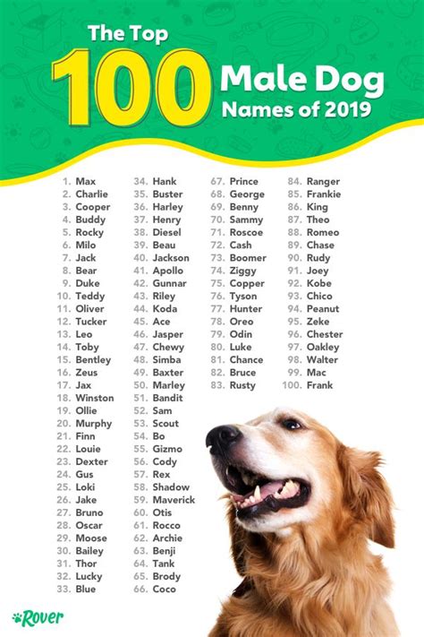 The most popular dog names of 2023 in Colorado