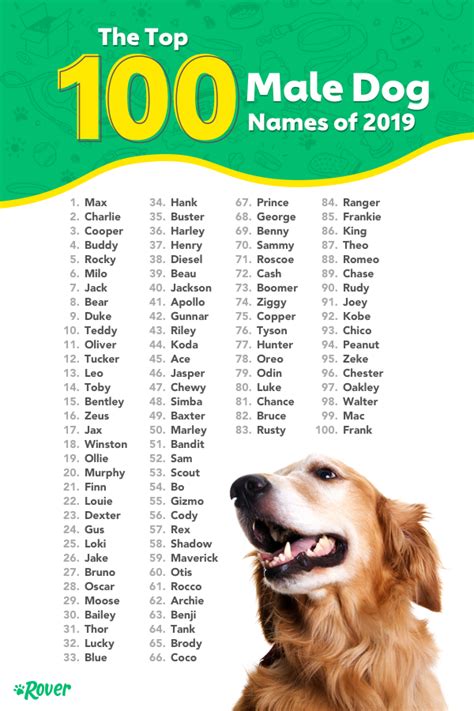 The most popular dog names of 2023 in Illinois