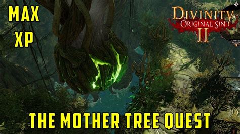 The mother tree divinity 2. There is a black dog named Andras guarding this place. He is a powerful necromancer and can summon undead trolls. If you have the Pet Pal talent, you can speak with him, initiating a fight, which yields some rewards. If you cast Spirit Vision in the graveyard, you will see a lot of ghosts. 