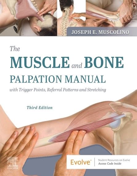 The muscle and bone palpation manual with trigger points referral patterns and stretching text and flashcards. - Haynes repair manual 95 jeep grand cherokee.