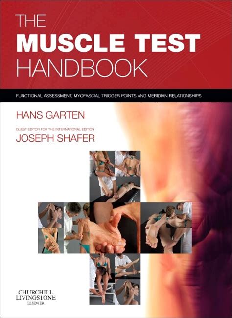 The muscle test handbook functional assessment myofascial trigger points and meridian relationships 1e. - Vehicle repair guide 1996 lincoln town car.