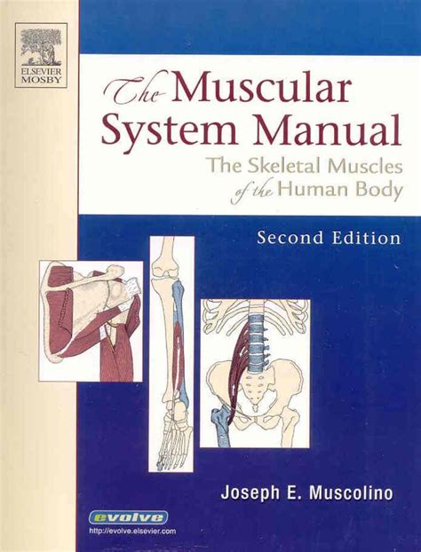 The muscular system manual text and flashcards package. - Zoology by miller and harley 4th edition.
