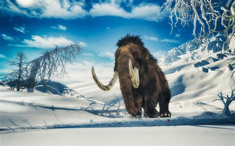 The mystery of frozen mammoth carcasses in Siberia