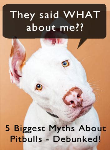 The myth of Pitbulls being