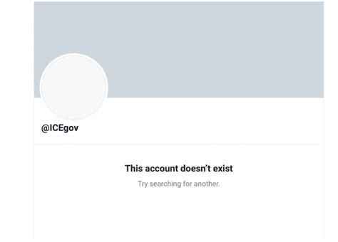 The official ICE Twitter account temporarily disappeared then ...