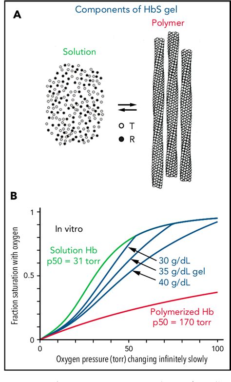 The oxygen affinity of sickle hemoglobin - PubMed