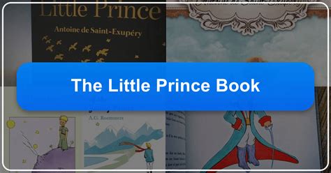 The petite prince summaries. .  ...