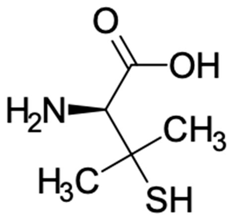 The pharmacokinetics of penicillamine in a female mongrel dog