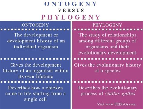 The phylogeny and ontogeny of behavior - Cambridge Core