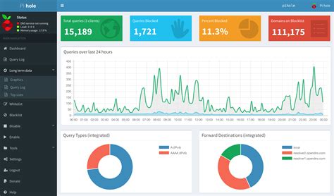 The pihole Command Pi-hole documentation.