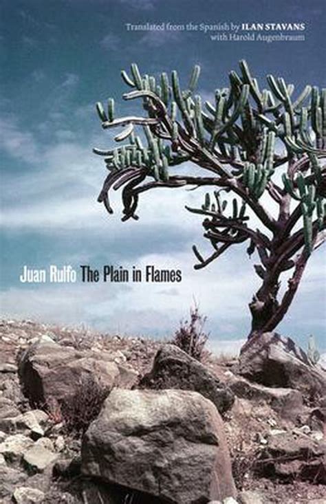 The plain in flames juan rulfo. - A beginner s guide to singing gregorian chant notation rhythm.