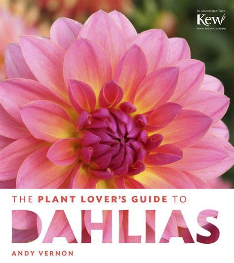 The plant lovers guide to dahlias. - Gilera scooter 50cc 200cc workshop repair manual download all 1997 2004 models covered.