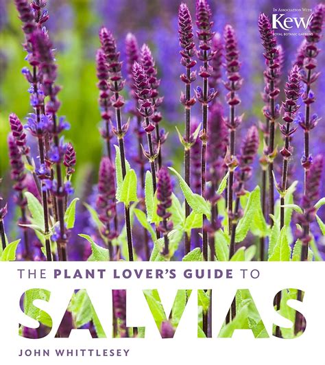 The plant lovers guide to salvias by john whittlesey. - Toyota crown royal saloon 2004 owner manual.