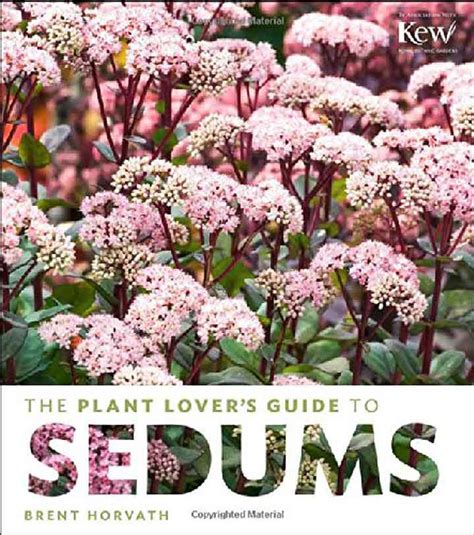 The plant lovers guide to sedums. - Bedeutung des sprachlichen und nichtsprachlichen ausdrucks in ästhetischen prozessen.