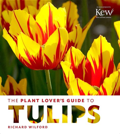The plant lovers guide to tulips by richard wilford. - Designing brand identity an essential guide for the entire branding team alina wheeler.