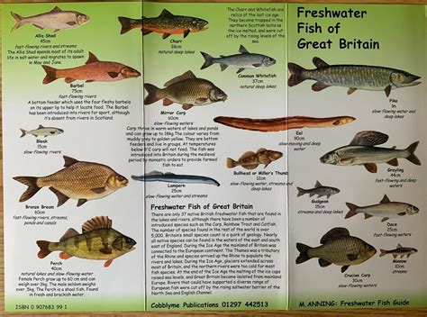 The pocket guide to freshwater fish of britain and europe. - Handbook of difficult airway management by carin a hagberg.