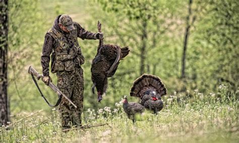 The pocket guide to spring and fall turkey hunting a. - L'uomo d'onore non paga il pizzo.