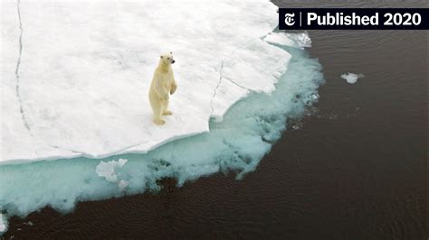 The pole where polar bears nyt. Nov. 20, 2023, 5:08 AM PST. By Kaetlyn Liddy. Cecilia Blomdahl has some advice for dealing with the winter doldrums. A resident of Svalbard, a Norwegian archipelago near the North Pole, she’s ... 
