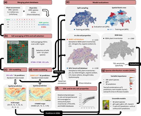The present study analyses