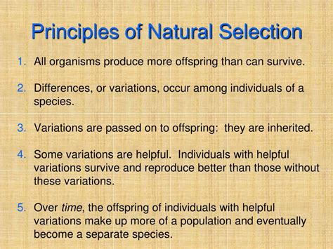 The principles of natural selection. What are the four principles of natural selection? -Individuals in a population show variations -These variations are inherited -Organisms have more offspring than can survive -Variations that increase survival or reproductive success will be passed on to the next generation 