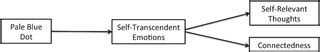 The proximal experience of awe PLOS ONE