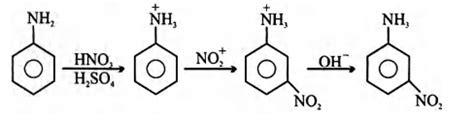 The reactive species in the nitration of benzene is - Tardigrade