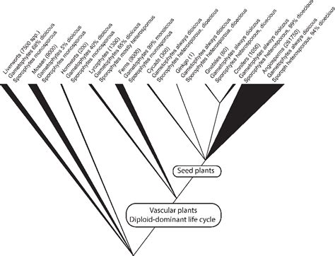 The relative and absolute frequencies of angiosperm sexual …