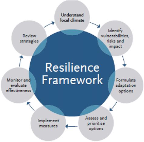 The resilience framework. Download Scientific Diagram