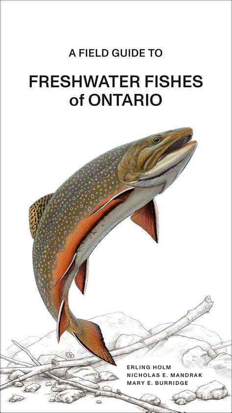 The rom field guide to freshwater fishes of ontario. - Ultima collection prima s official guide to ultima collection.