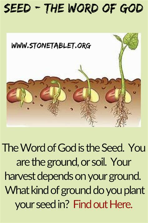 The seed of God - The Bible read The Interpretation Of …