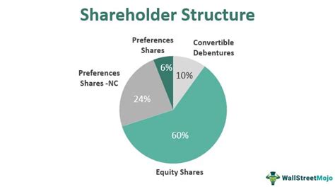 The shareholder the layman s guide to share ownership. - Una mirada al mundo del siglo xxi.