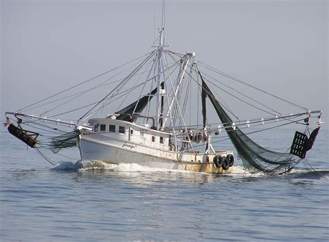 The shrimp boat. Things To Know About The shrimp boat. 