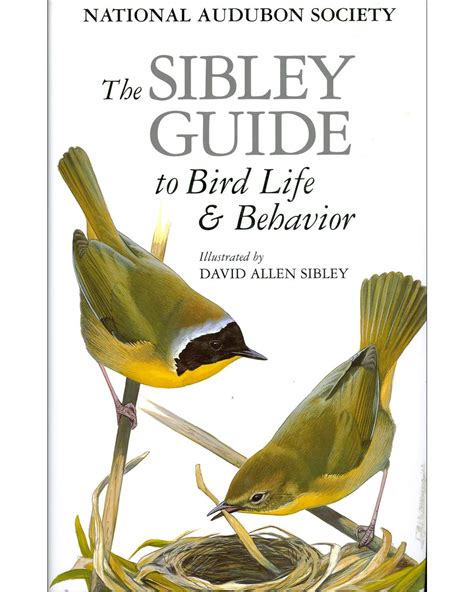 The sibley guide to bird life amp behavior david allen. - Bajar gratis manual de peugeot 206.