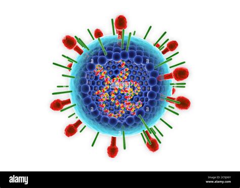 The significance of human respiratory syncytial virus (HRSV) in