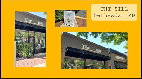 The sill bethesda. Things To Know About The sill bethesda. 