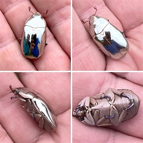 The silver beetles.  Browse our inventory from top mints with low premiu...