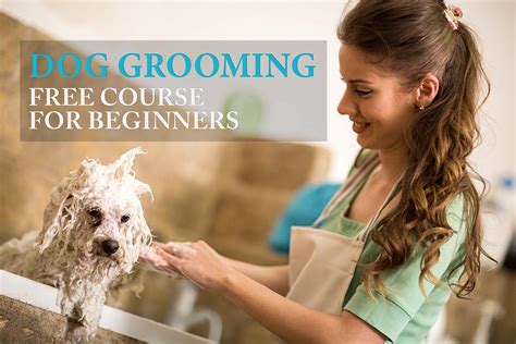 The simple guide to grooming your dog. - Mister owita s guide to gardening how i learned the.