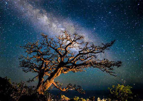 The sky tonight a guided tour of the stars over hawaii. - Ashtanga yoga the practice manual by david swenson.